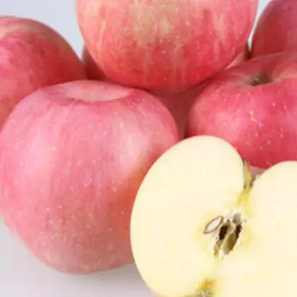 fresh red delicious apple red huaniu apple fresh apple