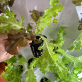 aeroponic tower gardening watering system for greenhouse