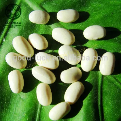 Dried Japanese Type White Kidney Beans,JWKB