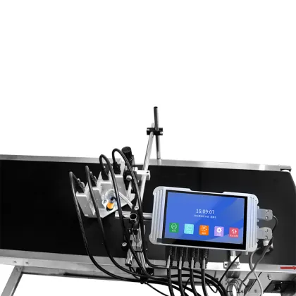50mm Dual Cartridge Automatic Inkjet Printer for Carton Marking