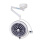 Wall mounted led surgical medical exam light