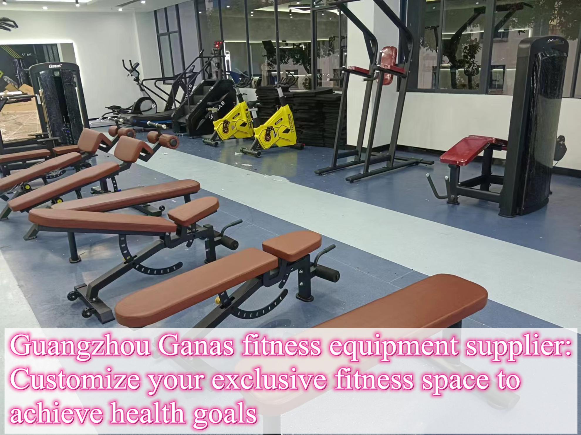 Guangzhou Ganas fitness equipment supplier Customize your exclusive fitness space to achieve health goals