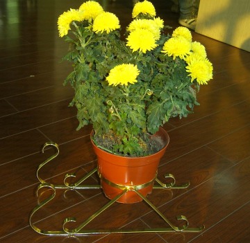 flower holder