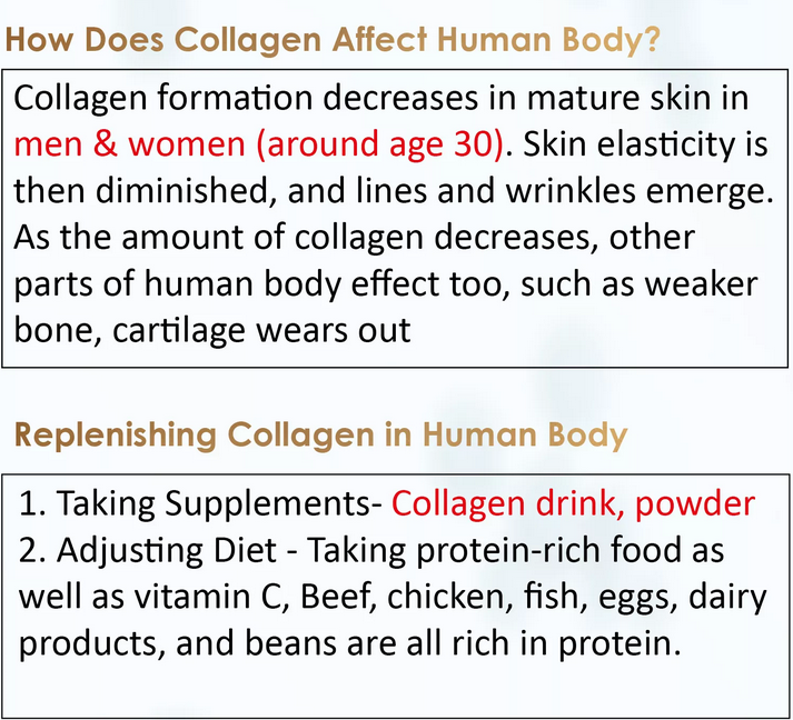 OEM/ODM Small molecule Enzyme Jelly Bird's Nest Collagen Snacks Jelly