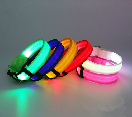 Pet Night Safety Led Collar