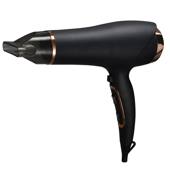 Professional Salon Low Noise Fast Dry Negative Ion Hair Dryer
