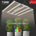 Växthus med LED -växer LJUS FULL SPECTRUM -dioder