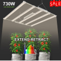 Greenhouse Using Led Grow Light Full Spectrum Diodes