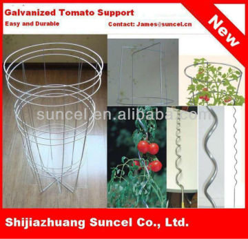 Tomato Support (factory)
