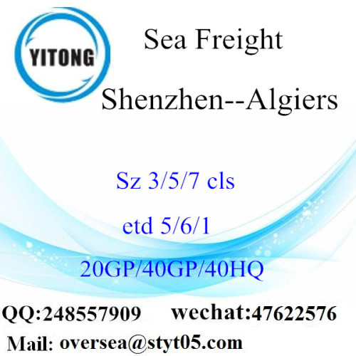 Shenzhen Port Sea Freight Shipping To Algiers