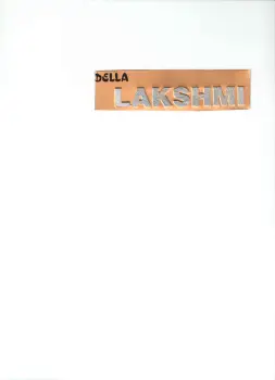 KAVERI GAS STOVE