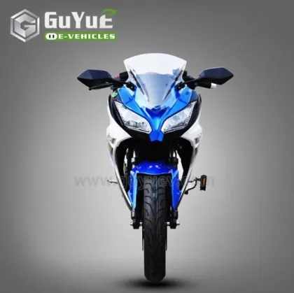 Adult Off Road Street Electric Motorcycles