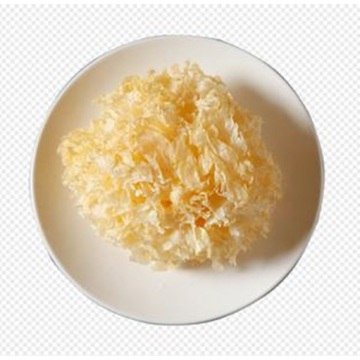 Ядомыя грыбы Tremella з высокім ураджаем жэлаціну