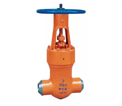 Power station check valve