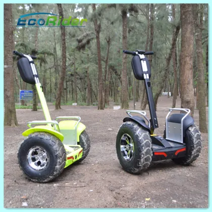 China off Road Electric Bicycle Electric Dirt Bike E-Bicycle