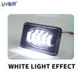 Warm White