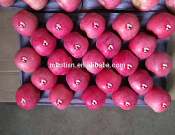 Fresh Red Fuji Apples