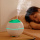 Ultrasonic portable nebulizing diffuser essential oil