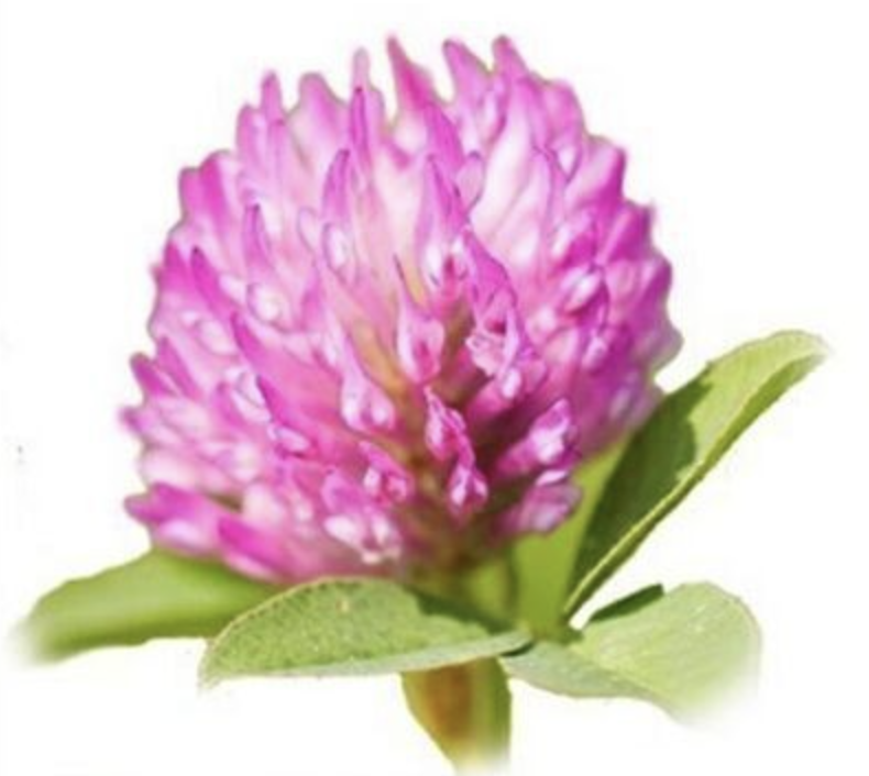 ScreenShot_2026-03-21_180157_119