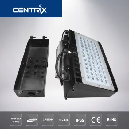 100w led outdoor wall lights for Meanwell driver Cree chip wall light