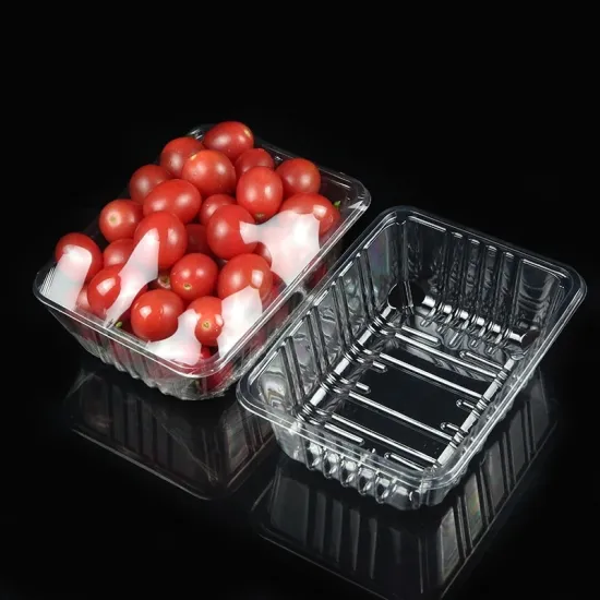 Wholesale Eco-Friendly Plastic Fruit Clamshell Tray