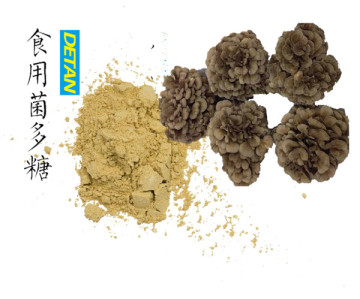 organic Maitake Factory supply high quality maitake mushroom extract powder Polysaccharides