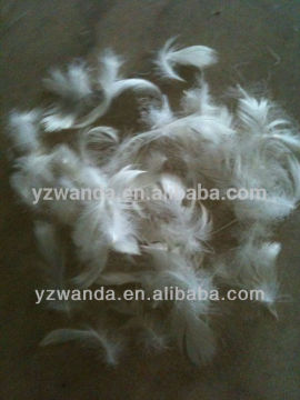 New white washed 2-4cm duck feather manufactory in China