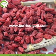 Anti Age Nutrition Fruit Natural Gemeenschappelijke Goji-bes