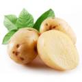 Poudre de protéines de pomme de terre 80% pour les aliments santé