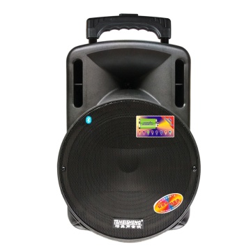 Temeisheng 15 Inch Portable Speaker Trolley with Wireless Microphone for Karaoke and DJ Outdoor Use