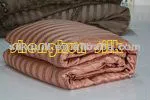 High Quality luxury Mulberry Silk Quilt