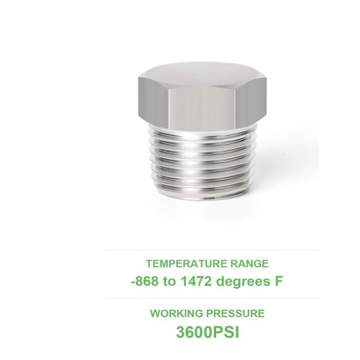 1/2NPT male stainless steel outer hexagon plug
