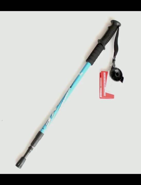 Pali di trekking pieghevoli professionali