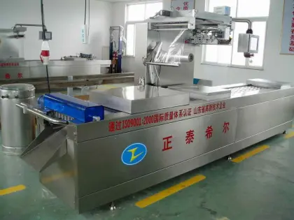 Master Kong Food Stretch Packing Machine