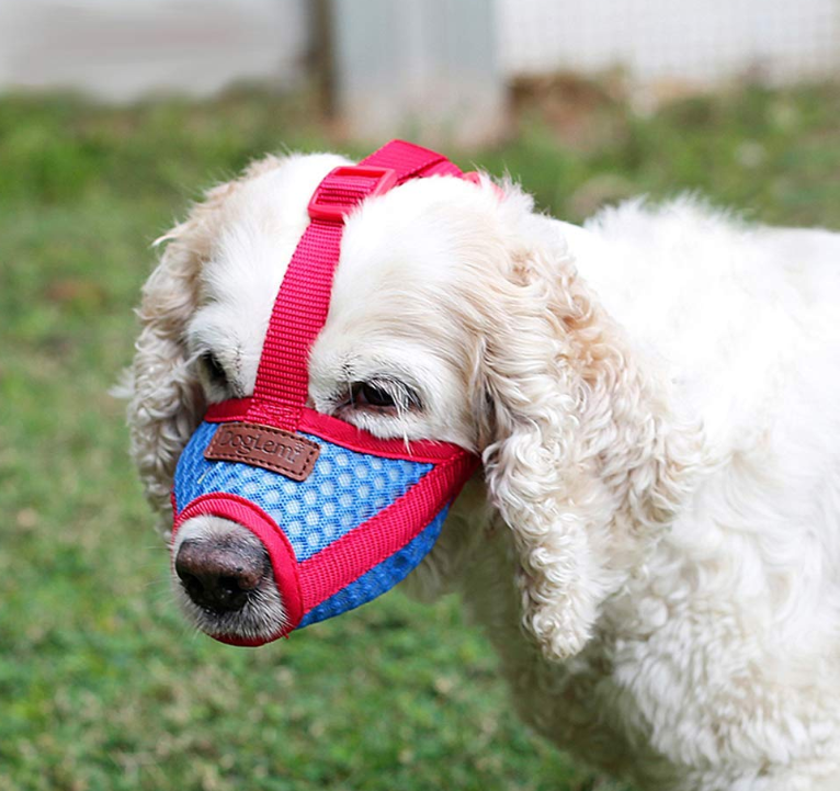 Pet Dog Muzzle Mouth Cover