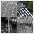 Galvanized Razor Concertina Wire para la cerca