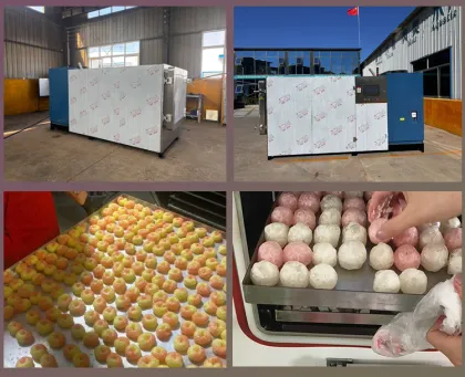 CE Certified Industrial Freeze Dryer Machine for Candy Companies