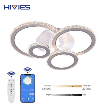 HIVIES Nordic Modern LED Ceiling Lights for Home