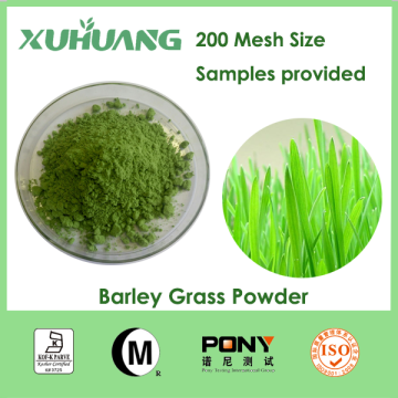 ISO 9001Factory Supply 200 Mesh Size Barley Grass Powder