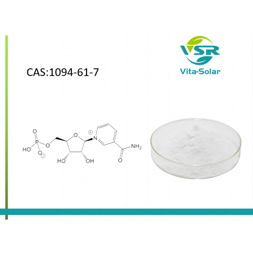เบต้า nicotinamide mononucleotide powder