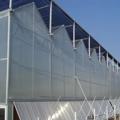 Multi-span PC Board Plastic Greenhouse