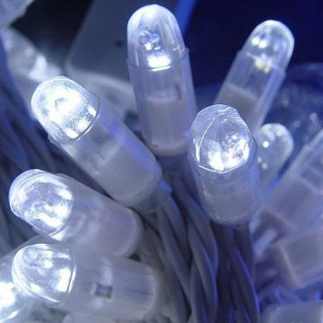 LED Christmas/Curtain Lights with 110 to 240V Voltages and 5cm Light Space