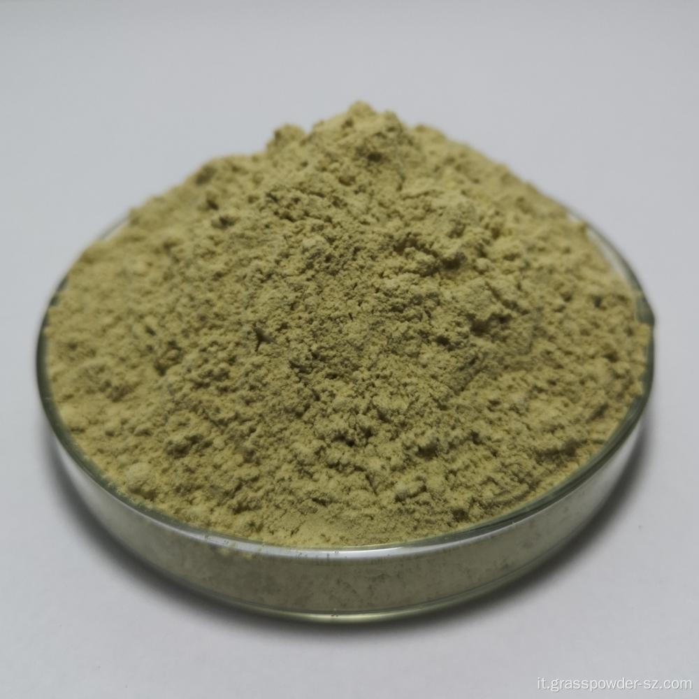 Estratto di pera di balsamo organico in polvere