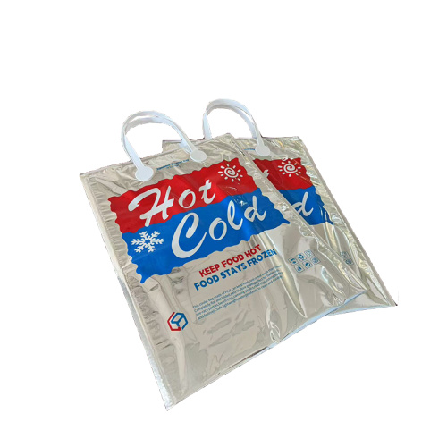 Temperature control bag for beach trips