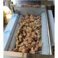 Commercial Potato Peeling Machine Larger Brush Potato Washing and Peeling Machine Manufactory