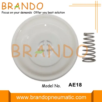 3/4'' 1'' Diaphragm For Autel Type Pulse Valve