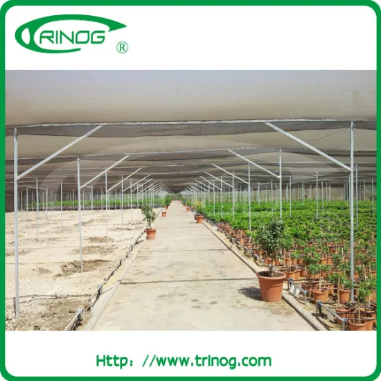 Good ventilation shading net cover greenhouse for sale