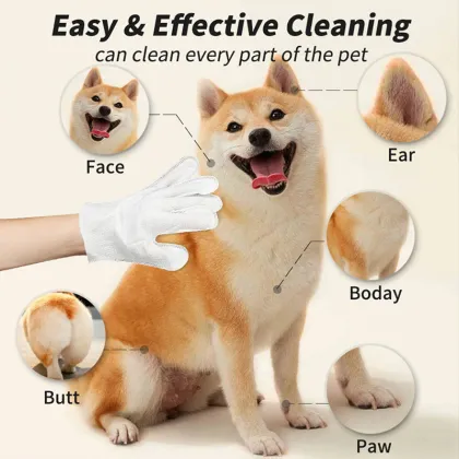 Pet Disposable Gloves