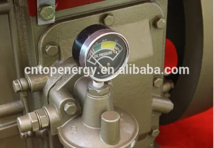 30kg-200kg Diesel Reversible Vibratory Plate Compactor Changfa Engine with Condenser