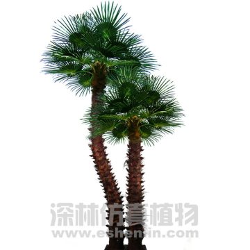 artificial washington palm tree,preserved washington palm tree